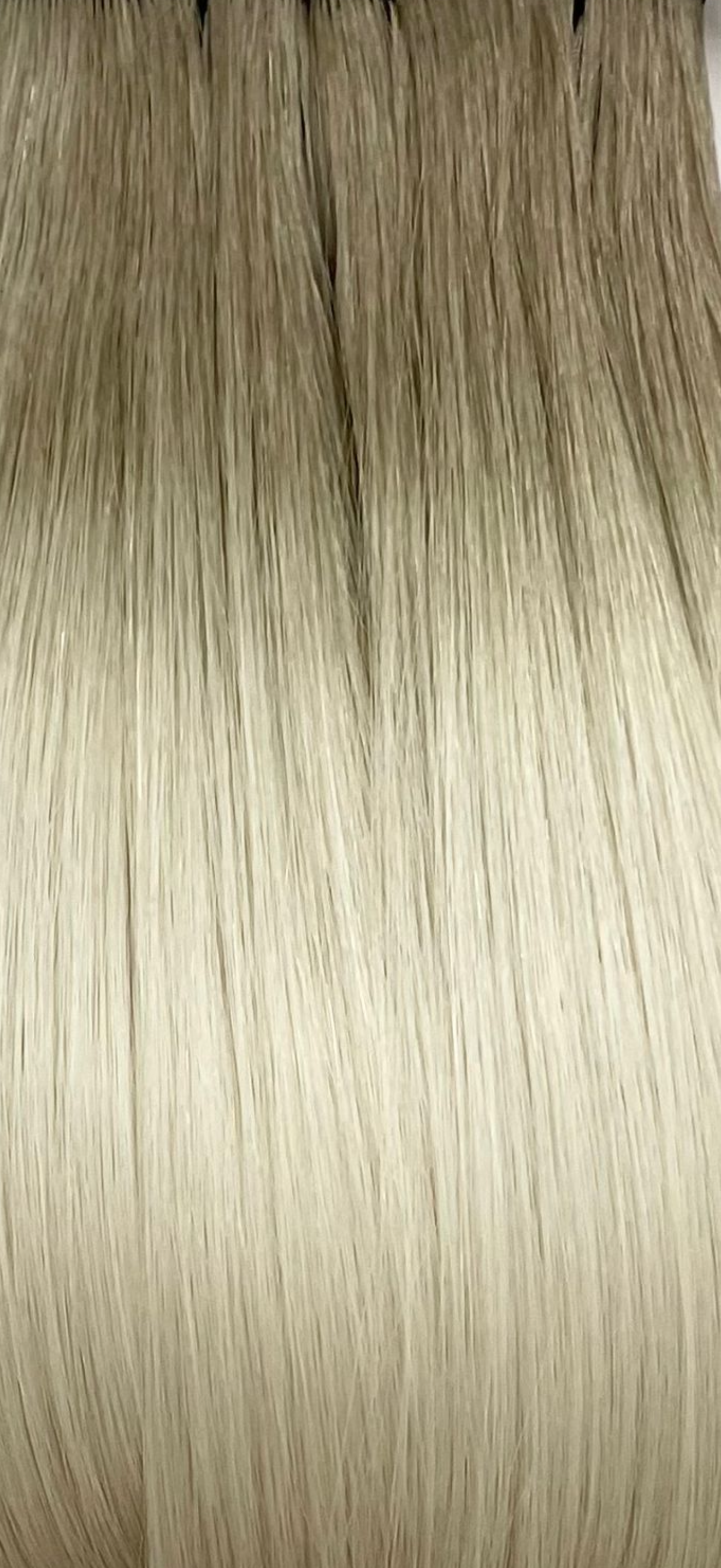 Ashy Rooted Platinum